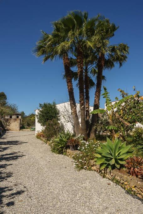 Villa Can Beia Rural House Ibiza Nuestra Señora de Jesus Exterior foto